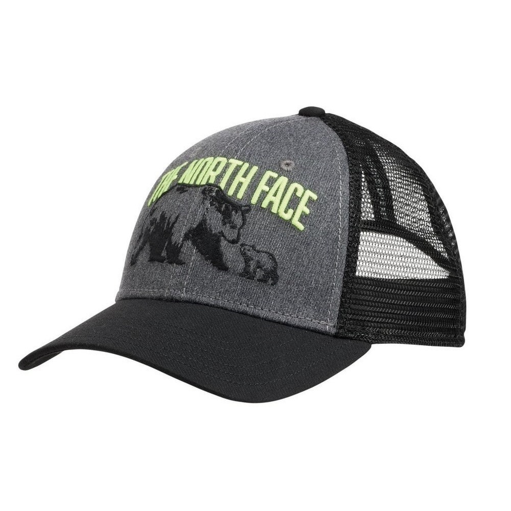 NEW THE NORTH FACE Mudder Cap Hat Bear Classic Fit‎ Snapback Gray Logo Trucker